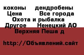 коконы    дендробены › Цена ­ 25 - Все города Охота и рыбалка » Другое   . Ненецкий АО,Верхняя Пеша д.